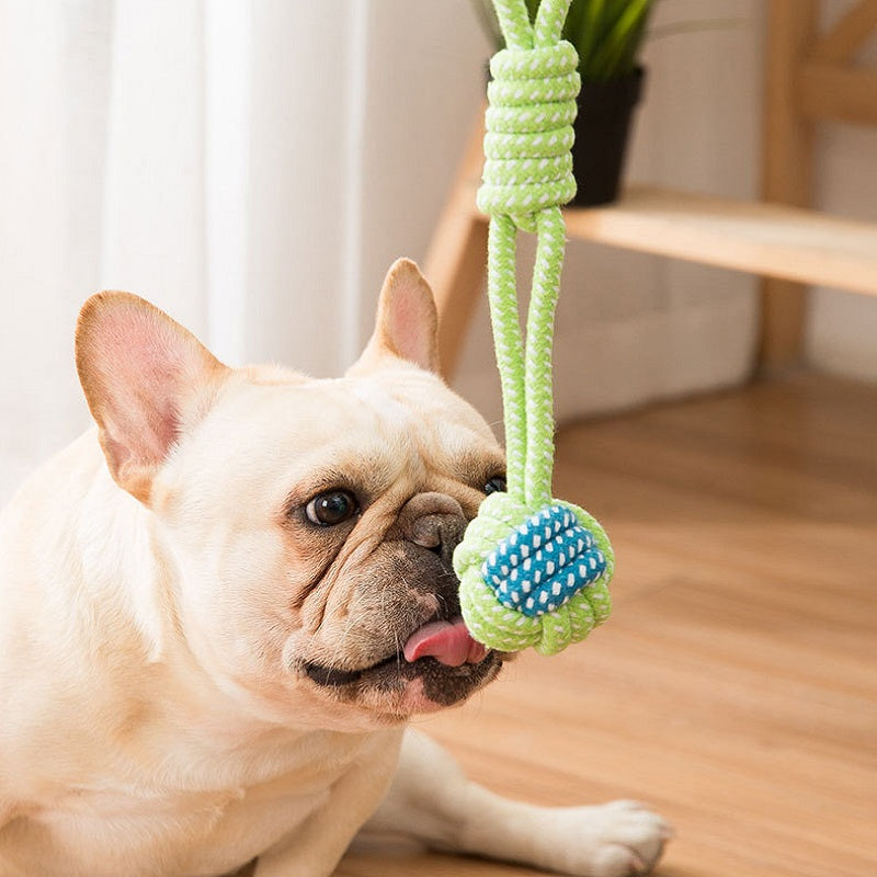 Best selling 2 for $14.99 dog chew rope toys for pets2