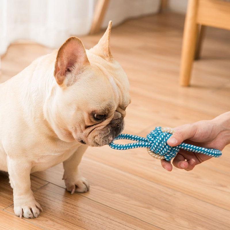 Best selling 2 for $14.99 dog chew rope toys for pets3