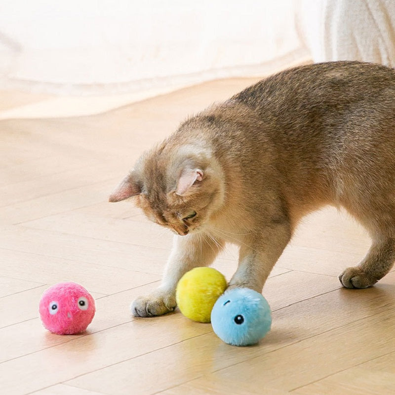 Interactive plush cat toys ball for playful pets5