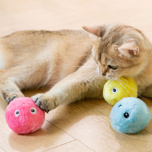 Interactive plush cat toys ball for playful pets12
