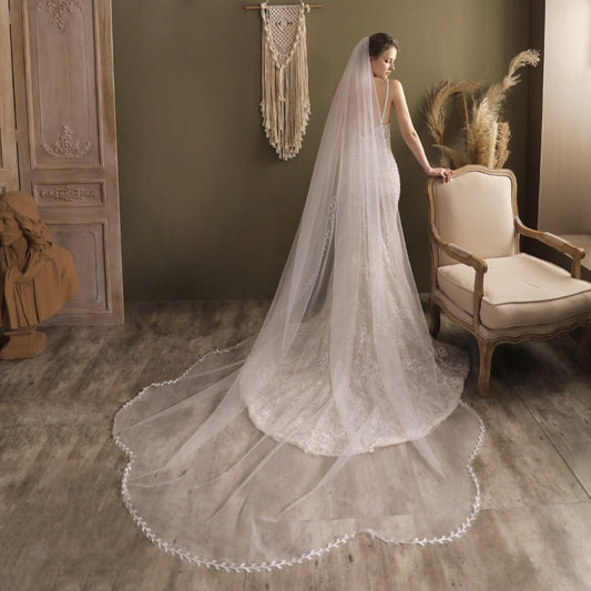 Elegant Lace Trailing Bridal Veil for Wedding6