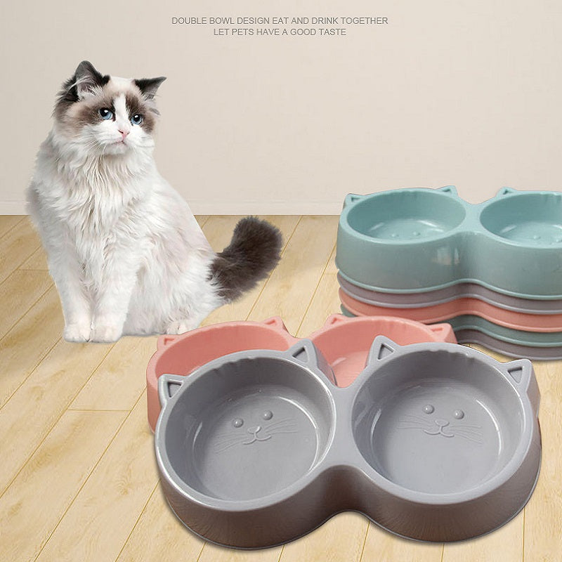 2 In 1 Cat Bowls for feeding and hydration0