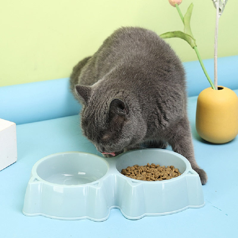 2 In 1 Cat Bowls for feeding and hydration1