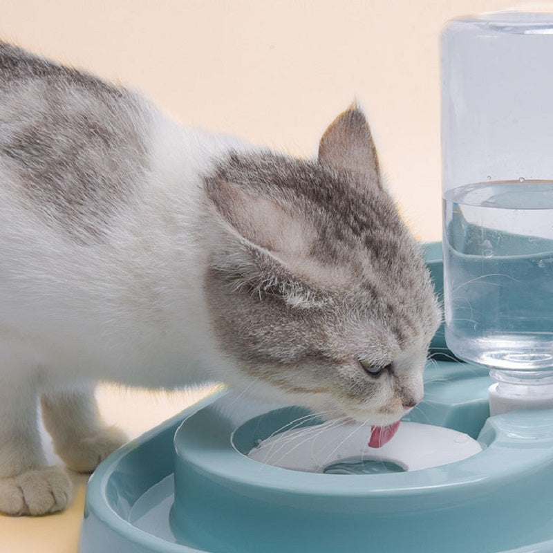 Cat Bowl with Automatic Water Feeder0