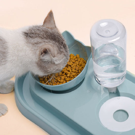 Cat Bowl with Automatic Water Feeder4