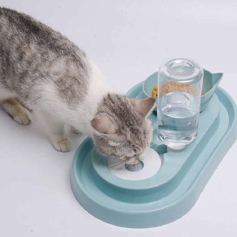 Cat Bowl with Automatic Water Feeder5
