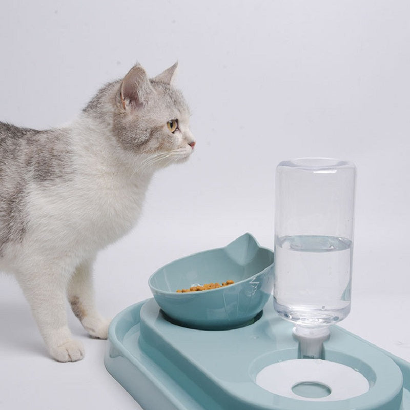 Cat Bowl with Automatic Water Feeder2