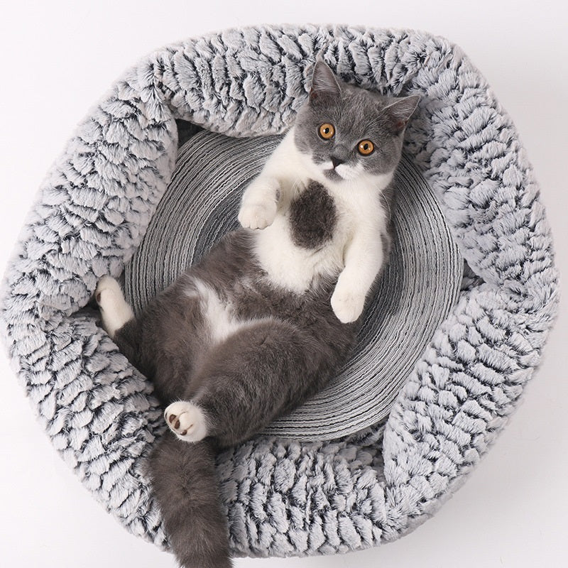 Durable Pet Scratcher Pad for cats and dogs1