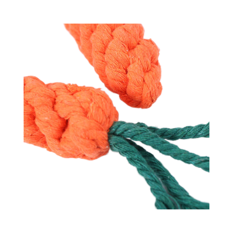 Dog Chew Toy Carrot for puppies and adult dogs5