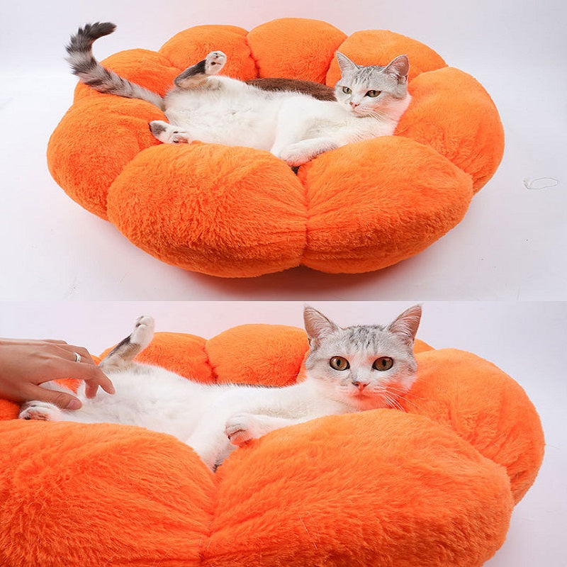 Cozy Cat Bed in Flower Shape Design0