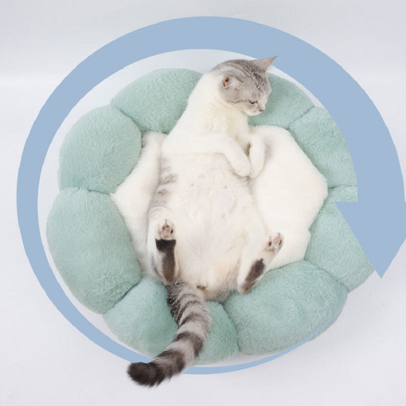 Cozy Cat Bed in Flower Shape Design4