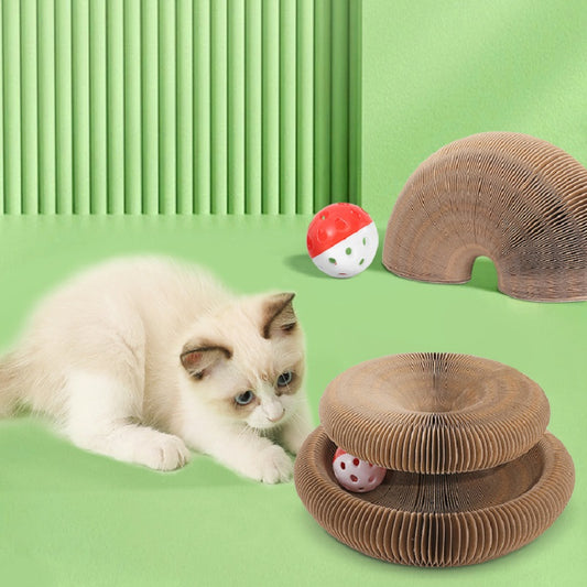 Interactive Cat Scratching Board for playful pets6