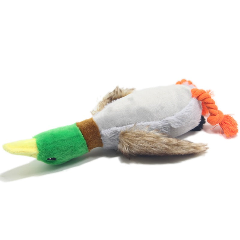 Best selling squeaker duck dog toy for pets5