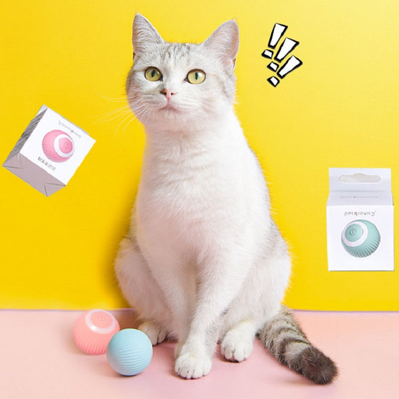 Best selling cat USB ball toy pet supplies1