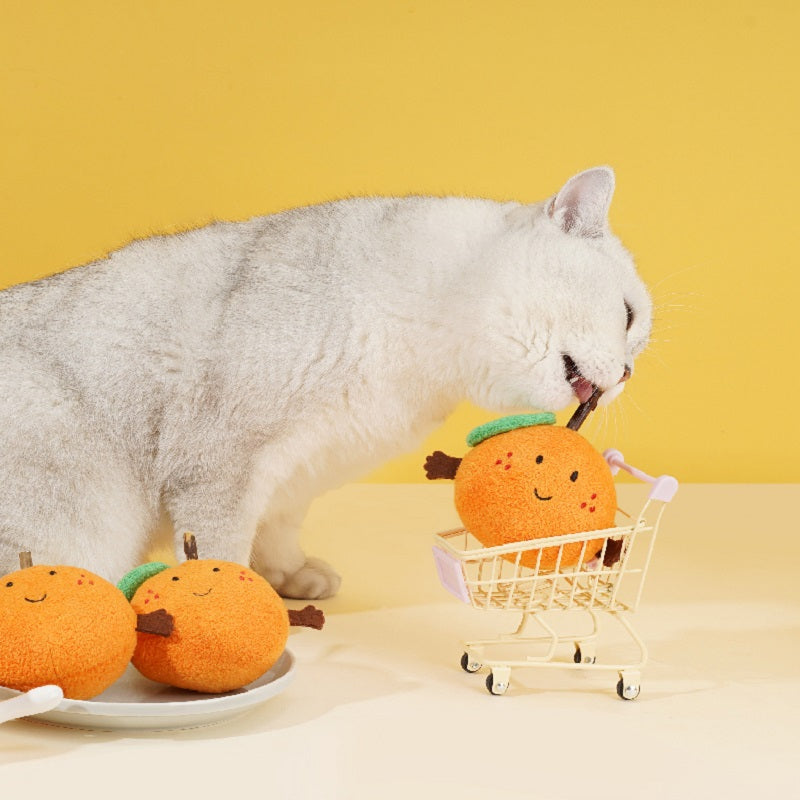 Best selling Zeze orange catnip toy for pets0